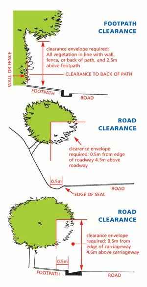 overhanging vegetation