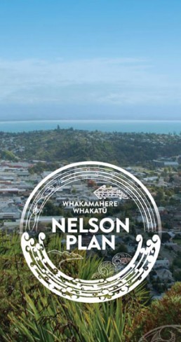 nelson plan logo with bg